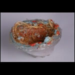 A New Galaxy 6 x 7 x 7.jpg